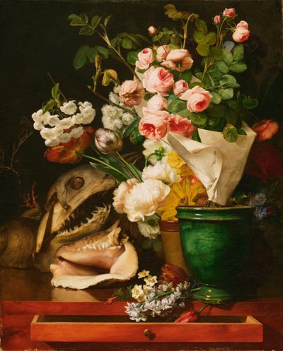 Still Life with Flowers, Shells, a Shark